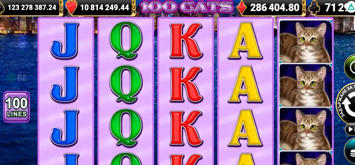 100 Cats Slot - дизайн
