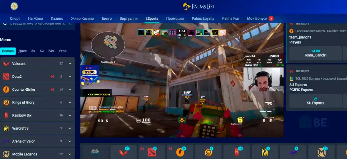 Palms Bet eSports секция